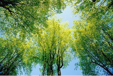 《死神：魂魄觉醒》DLC介绍视频：黑崎一护【千年血战篇】